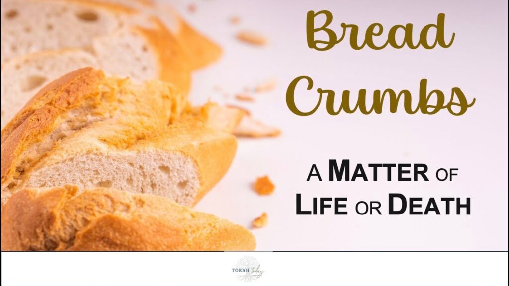 Bread Crumbs A matter of life and death, bread on a white background