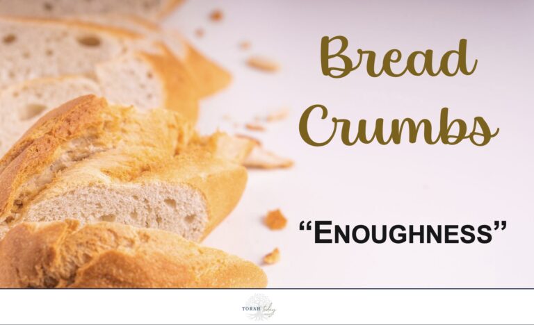 Breadcrumbs. enoughness, bread on a white background